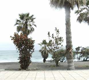 Teil des Playa Jardins