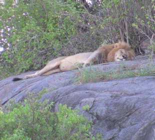 Нгоронгоро