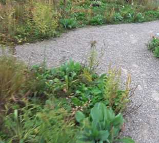 Garten Großbritanien