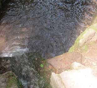 Zulauf Wasserfall am Hilschweiher