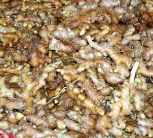 Rundgang über den Marché forain du Front de Mer