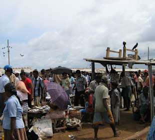 Mehr Leute als Fische