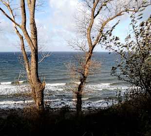 Blick von Steilküste in Rerik
