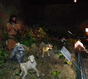 Museo Guanche in Icod de los Vinos