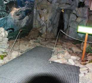 Im Museum Alpen