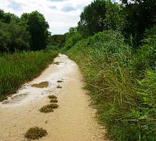Am Fußweg entlang