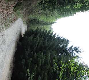 Road  to Sarmizegetusa regia