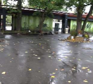 Tierpark