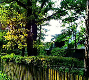 Kampinoski Park Narodowy