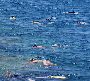 Fröhliche Schnorchler