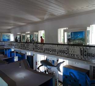 Blick in die historischen Museumsräume