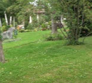 Friedhof Derendingen