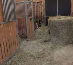 Erlebnisbauernhof und Wildgehege