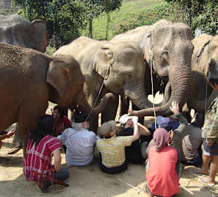 Wir lernen uns kennen