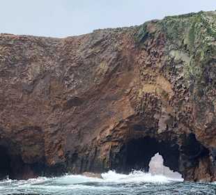 Ausflug Ballestas Inseln
