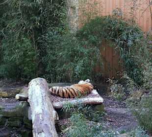 Zoo Münster - Die Tiere