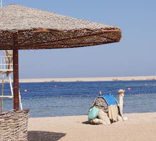 Strand von Sharm El Naga