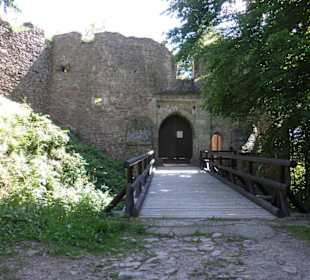Litice nad Orlicí hrad