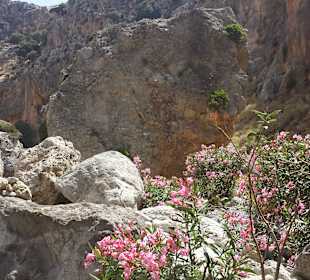 Wandern Makri Gialos