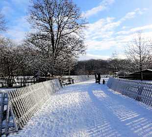 Winterspaziergang durch den Bürgerpark
