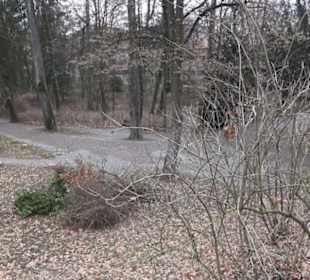 Neckarinsel