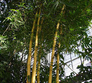 Anlage Planten un Blomen