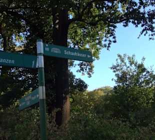 Botanischer Garten
