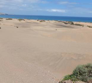 Dünen von Maspalomas
