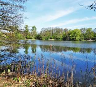 Rundgang durch den Hermann-Löns-Park