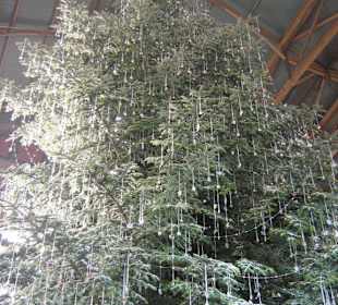 l'albero di Natale di Swarowsky