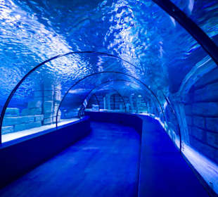 Aquarium Antalya