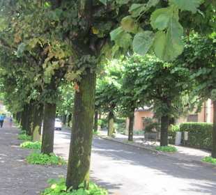 Am Hafen von Porlezza