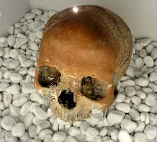 Fundstück aus dem Wasser