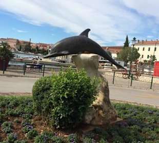 Delfinstatue am Port von Rovinj