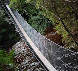 Capilano Suspension Bridge