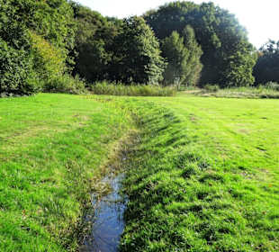 Herbst im Gesundheitspark Speckenbüttel