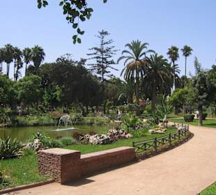 Parkanlage
