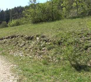 Premiumwanderweg Hochgehschätzt