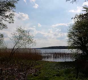 Scharmützelsee