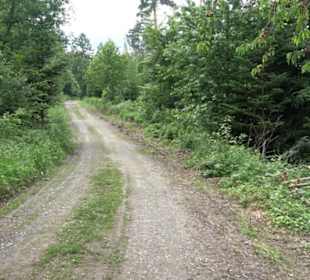 Schutzgebiet Spitzberg, Pfaffenberg