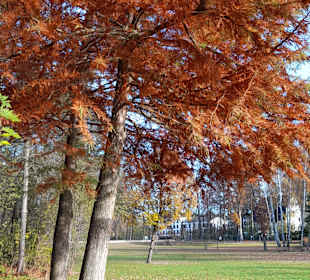Wandern Bad Saarow