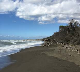 Strand Marina di Cecina