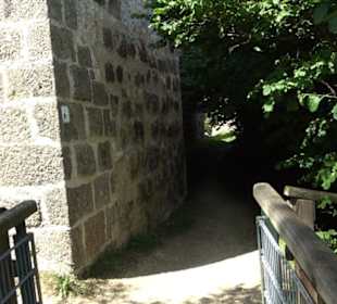 Burgruine Niederhaus