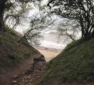 Wandern Börgerende-Rethwisch