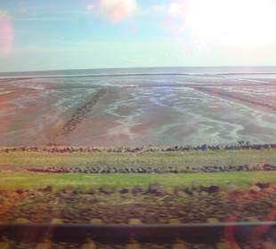 Blick aus dem Zug nach Sylt