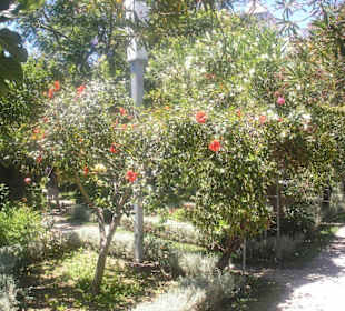 Im Innenhof der Burg