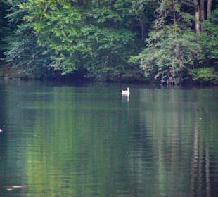 Reintaler See
