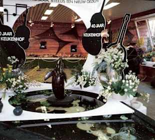 Blumenpracht im Keukenhof / Holland