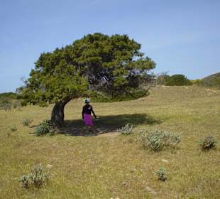 Trekking all'Asinara