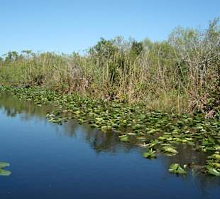 Everglades Safari Park
